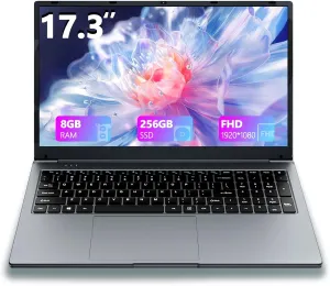 17 Inch Laptop,Laptop Computer, 8GB RAM, 256GB SSD,Win 11, Celeron Quad-Core Processor(Up to 2.9GHz), IPS Full HD Display with, Type-C, Wi-Fi, USB3.0