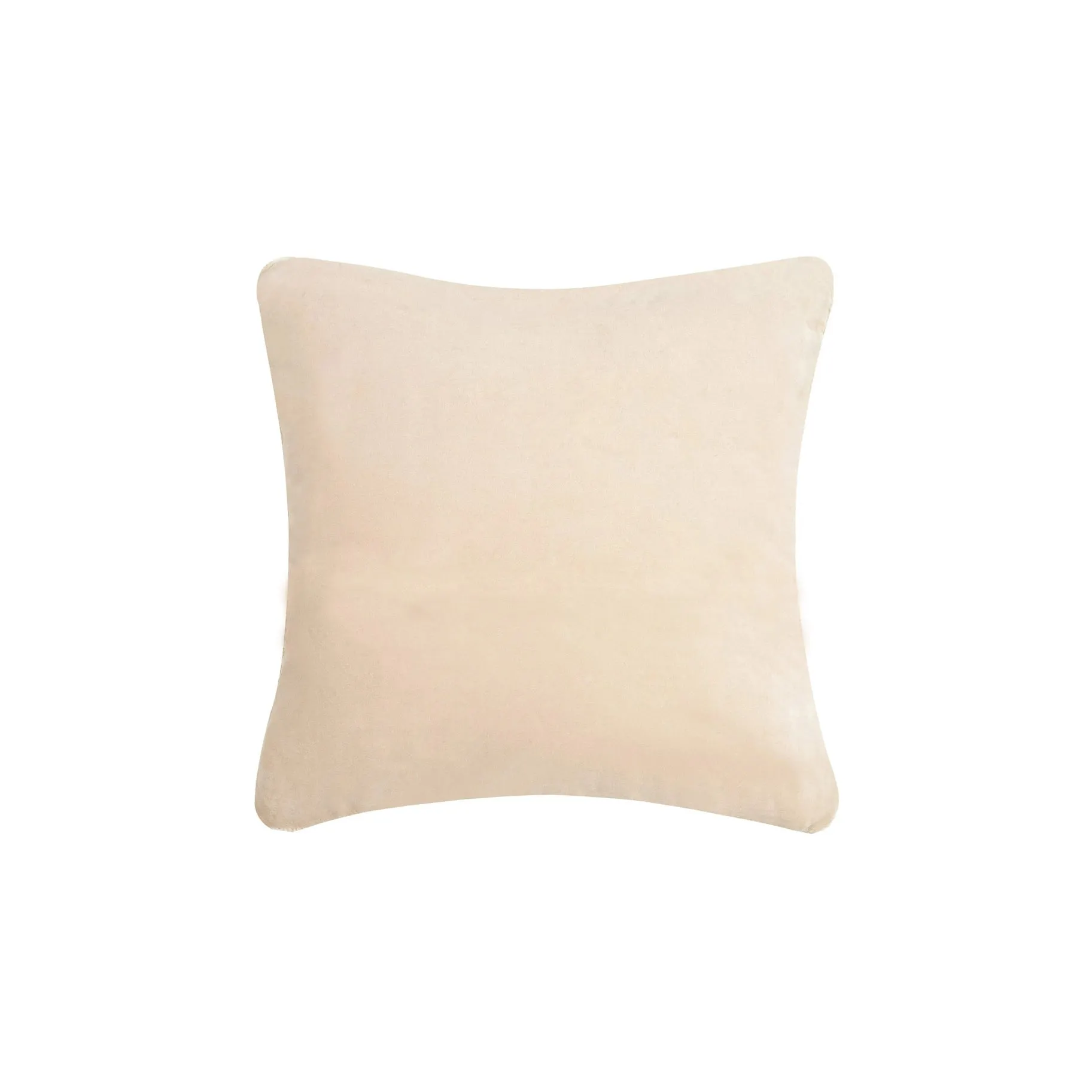 COW SKULL 🐮 Hook Pillow