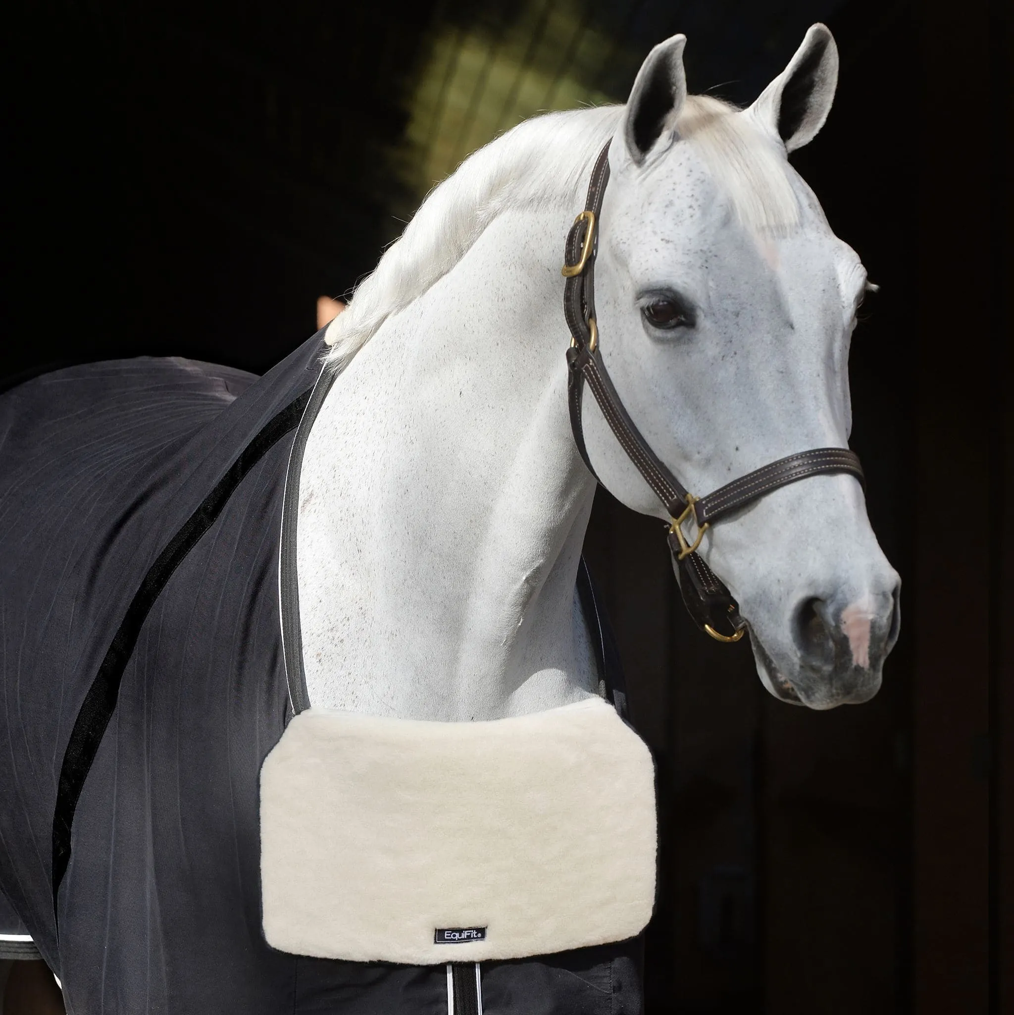 EquiFit | BlanketBib
