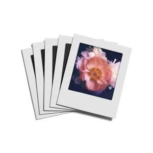 Instant Postcards :: Set of 5