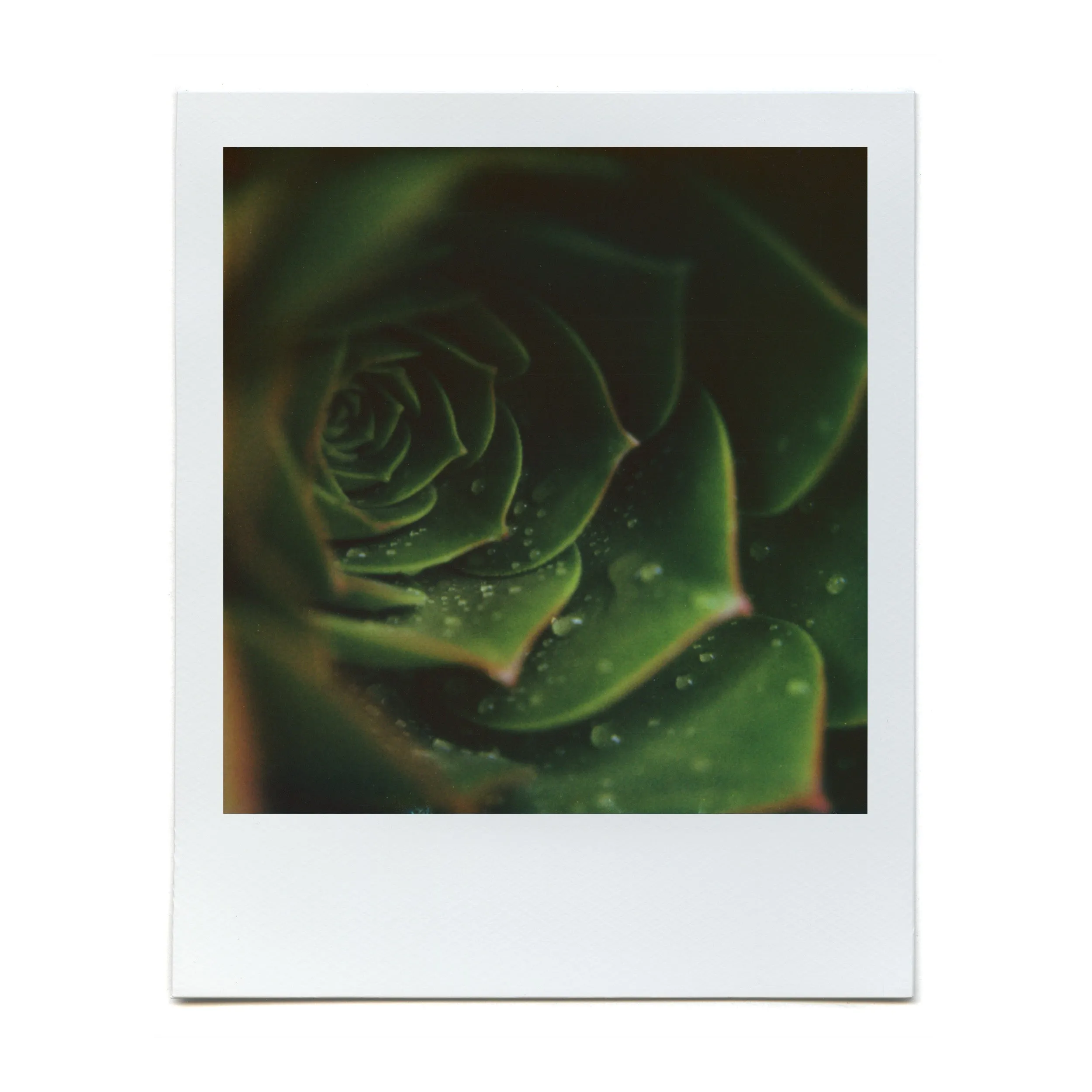 Macro Lens Set
