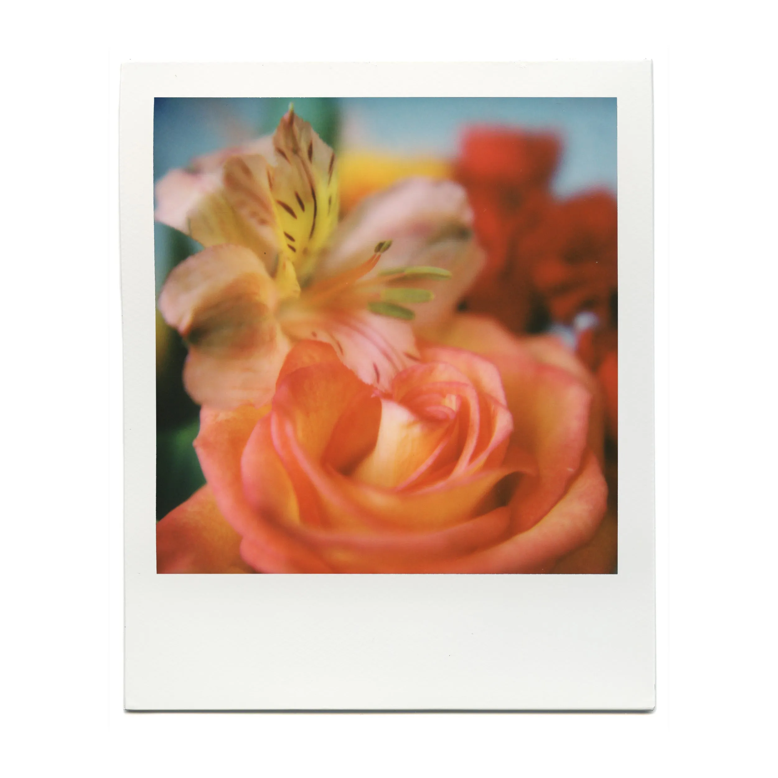 Macro Lens Set