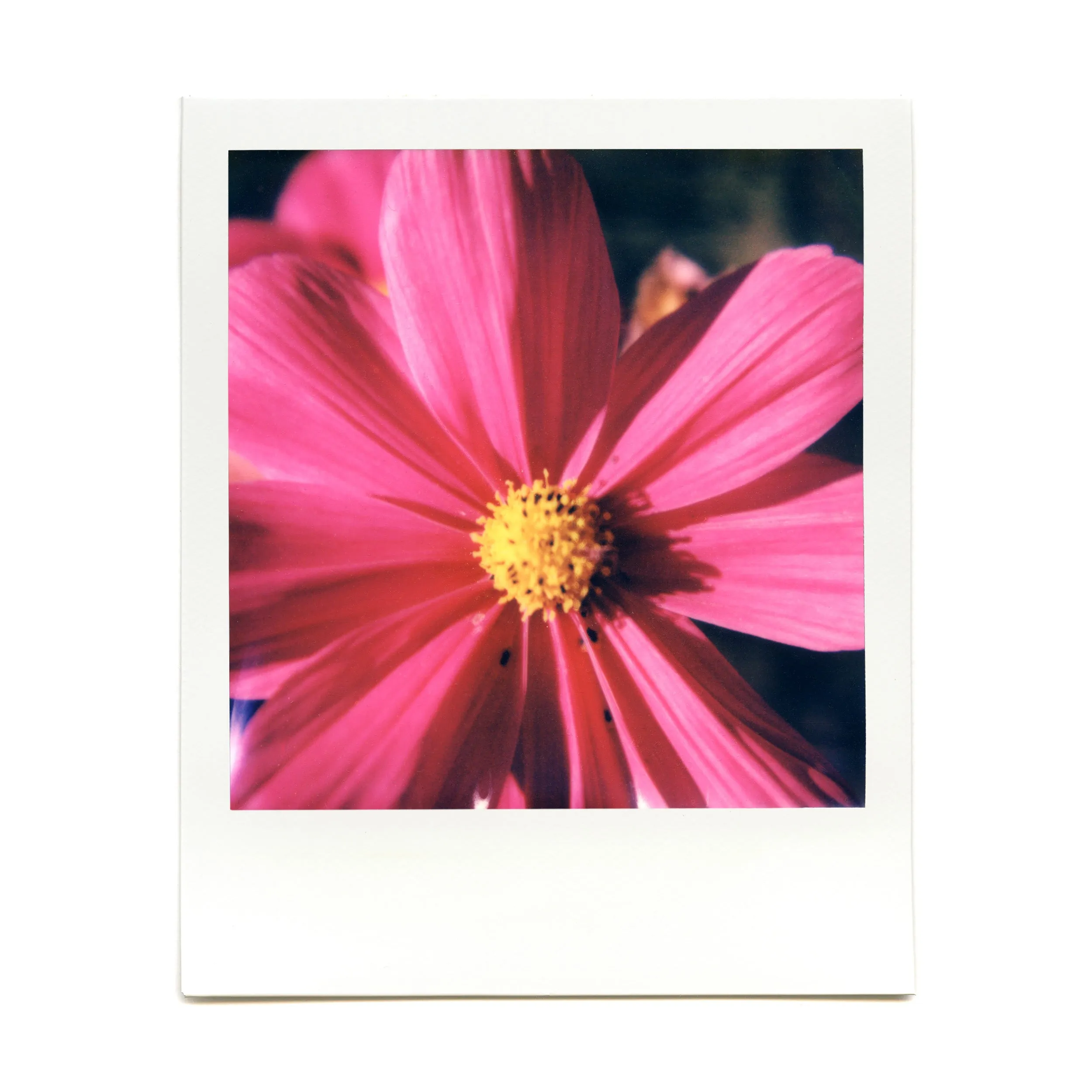Macro Lens Set