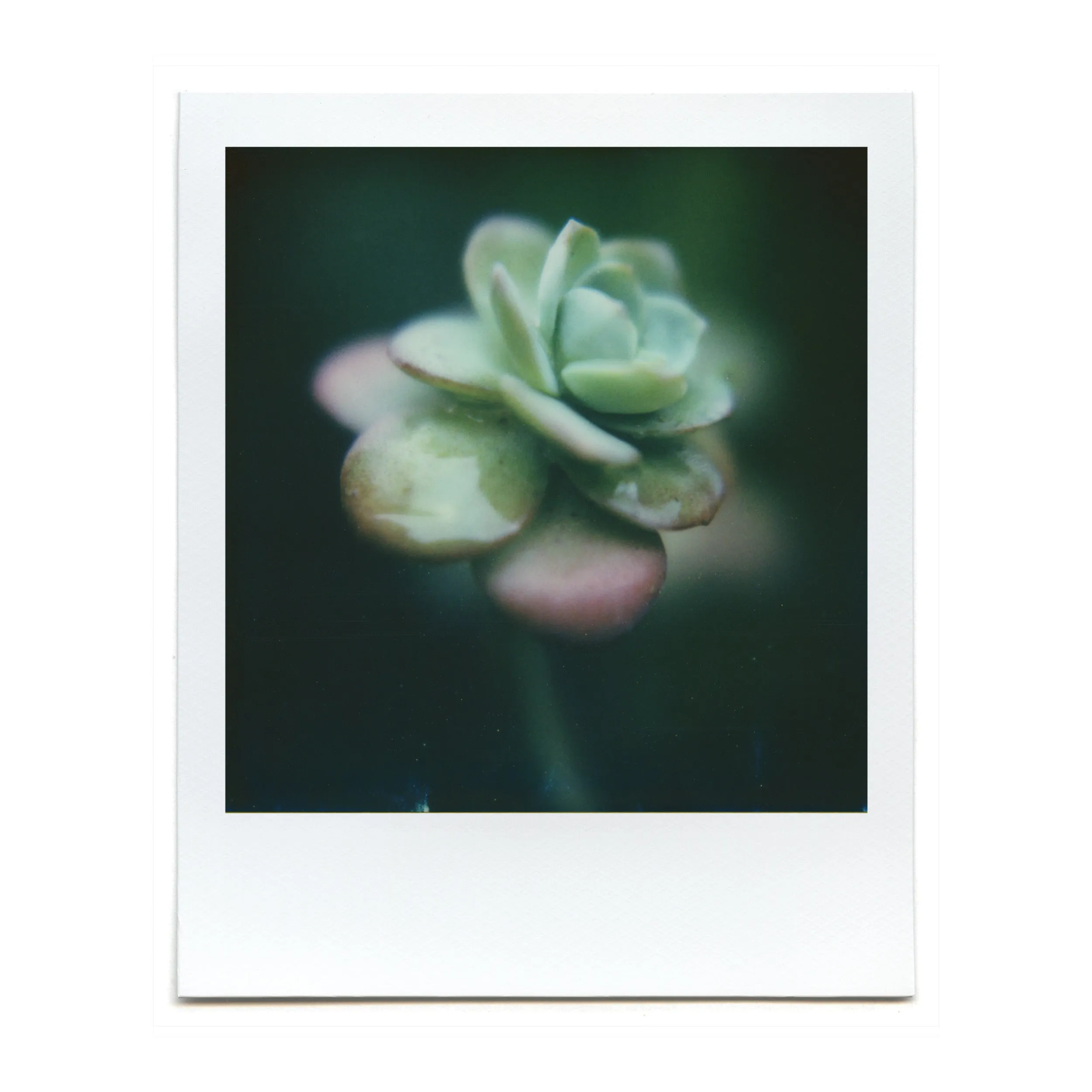 Macro Lens Set