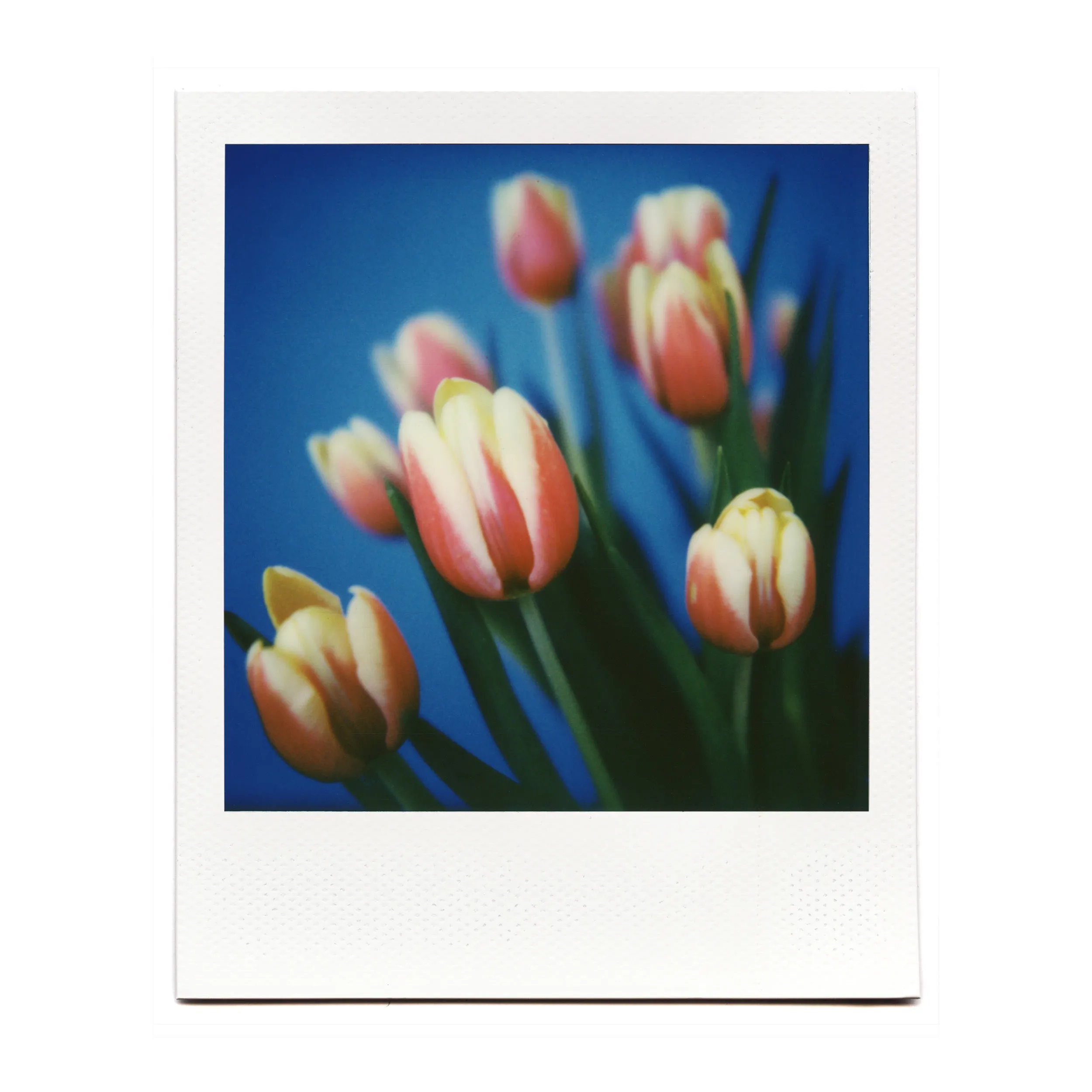 Macro Lens Set