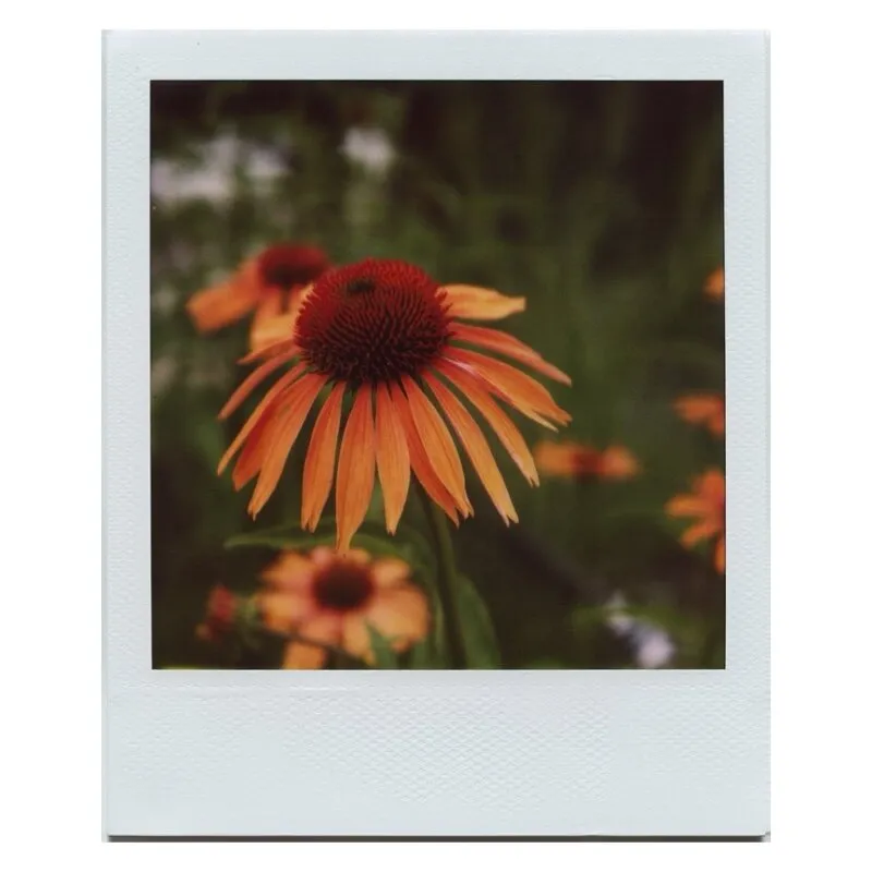 SX-70 Close-Up Lens :: Vintage Polaroid