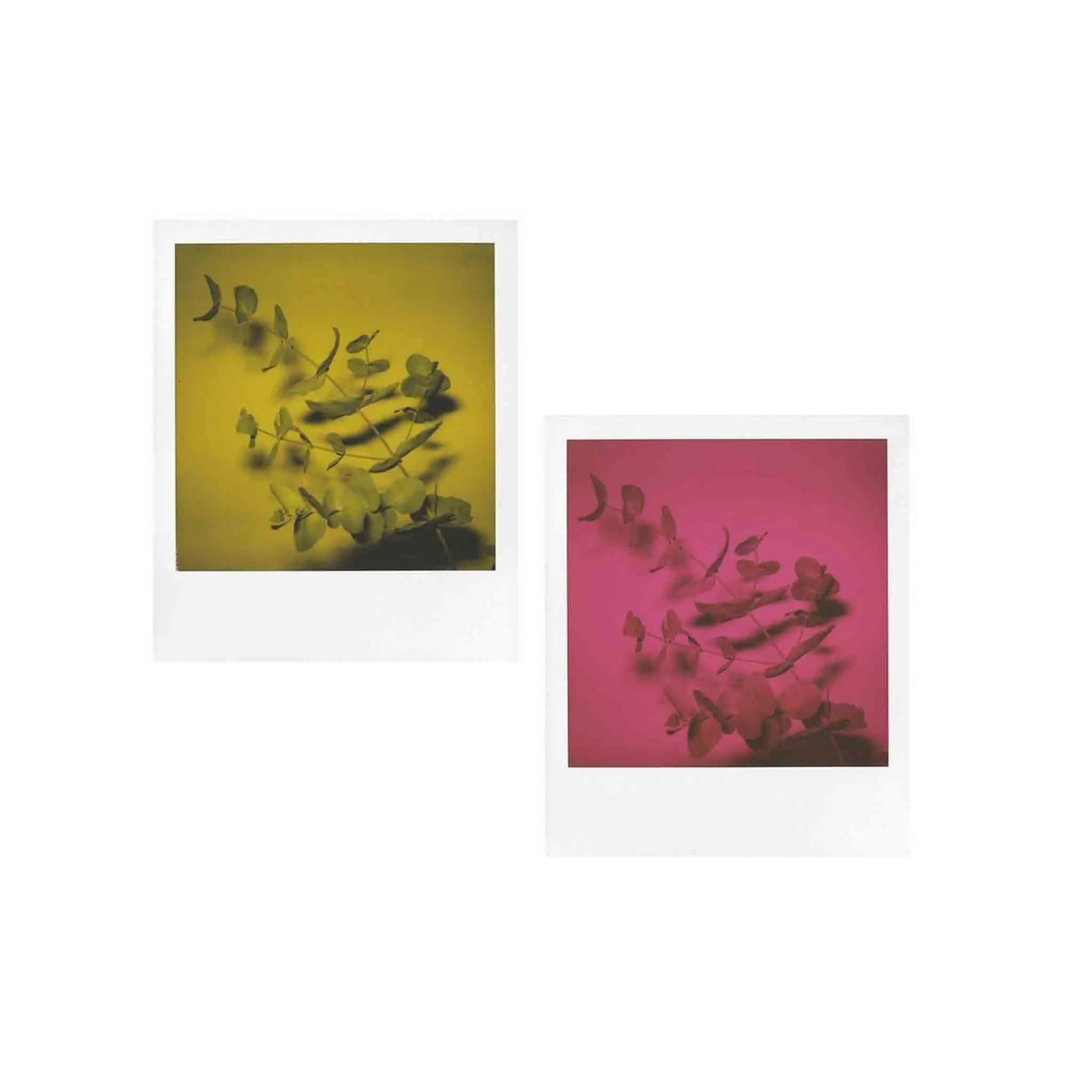 SX-70 Flashbar 2.0 :: by MiNT
