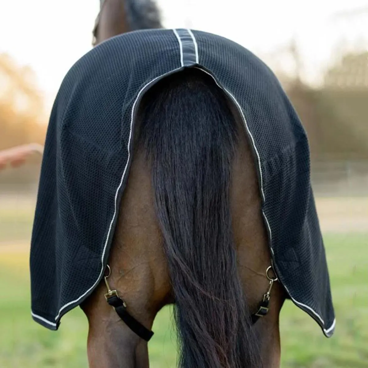 TuffRider Waffle Weave Cooler Standard Neck